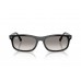Солнцезащитные очки Ray-Ban RB 2224 901/32