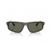 Солнцезащитные очки Ray-Ban RB 2225 710/58