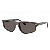 Солнцезащитные очки Ray-Ban RB 2225 710/B1