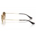 Солнцезащитные очки Ray-Ban RB 3832 001/51