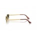 Солнцезащитные очки Ray-Ban ASAP Rocky RB 3927 001/31