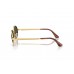 Солнцезащитные очки Ray-Ban RB 3931 001/31