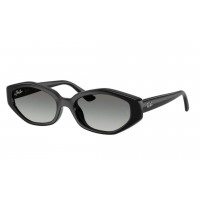 Солнцезащитные очки Ray-Ban RB 4473D 667711