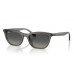 Солнцезащитные очки Ray-Ban RB 4474D 667511