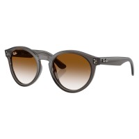Солнцезащитные очки Ray-Ban RB R0505S 6707CB