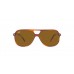 Солнцезащитные очки Ray-Ban Bill RB 2198 954/33