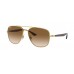 Солнцезащитные очки Ray-Ban RB 3683 001/51